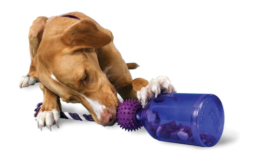 dog toys for big dogs