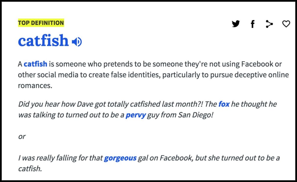 The Story Of A Former Catfish Humans