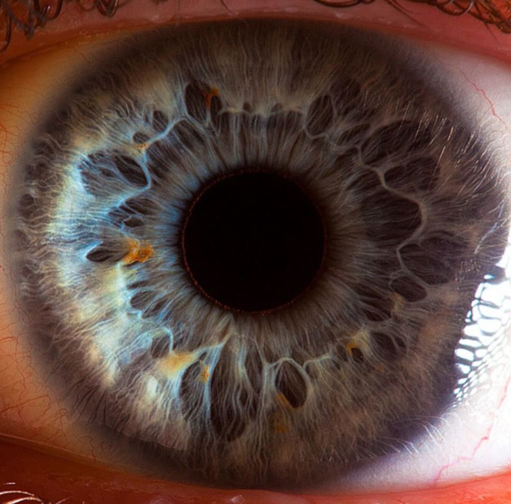 Eyes Eyes