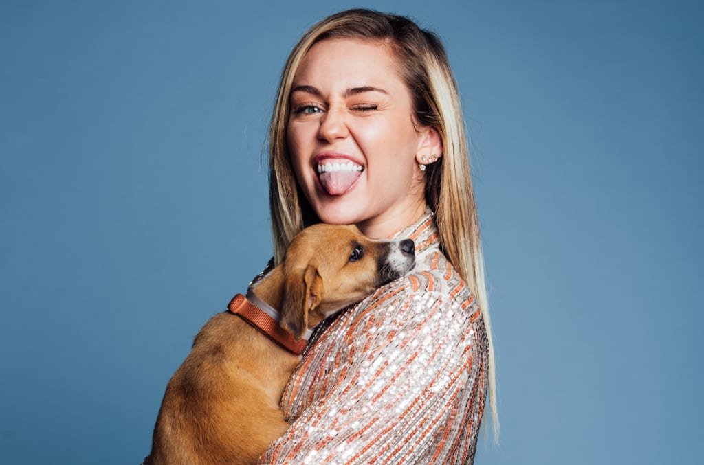 The Famous Pets of Celebrities The Famous Pets of Celebrities
