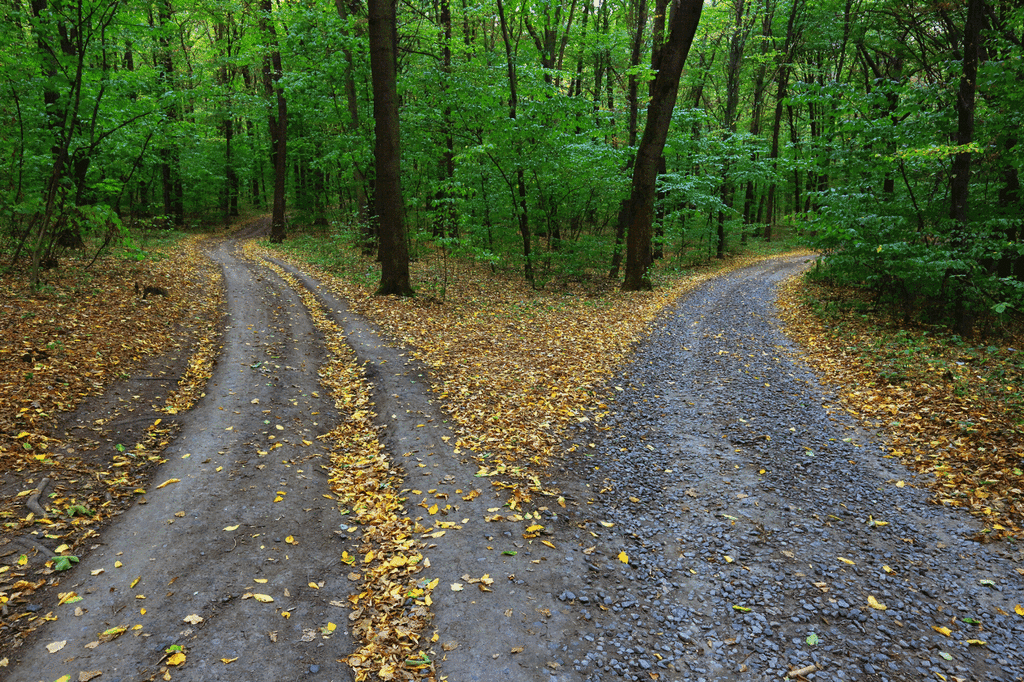I Come to a Fork in the Road I Come to a Fork in the Road