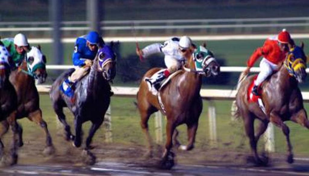 'So, You Own an Ex-Racehorse?' 'So, You Own an Ex-Racehorse?'