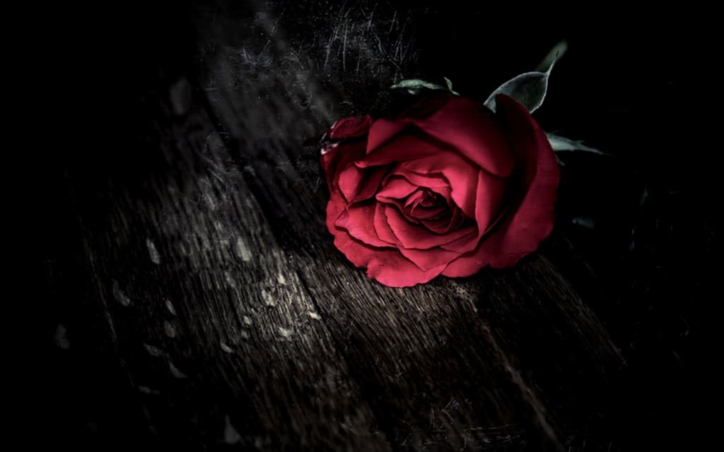 A Broken and Betrayed Heart A Broken and Betrayed Heart