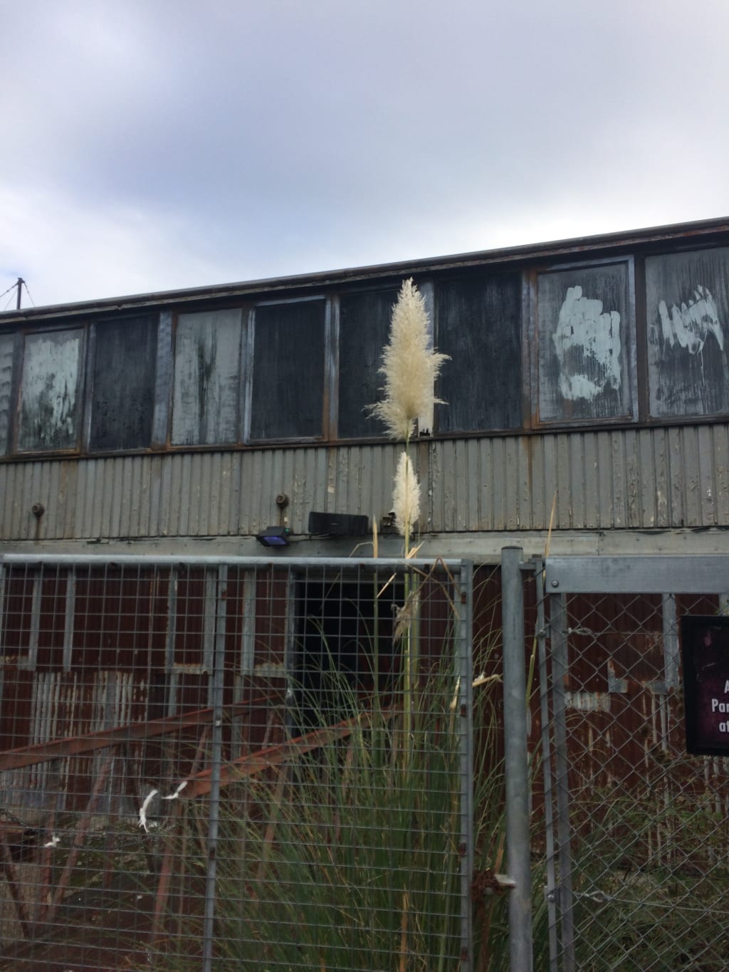 Fright Nights 2018 Fright Nights 2018