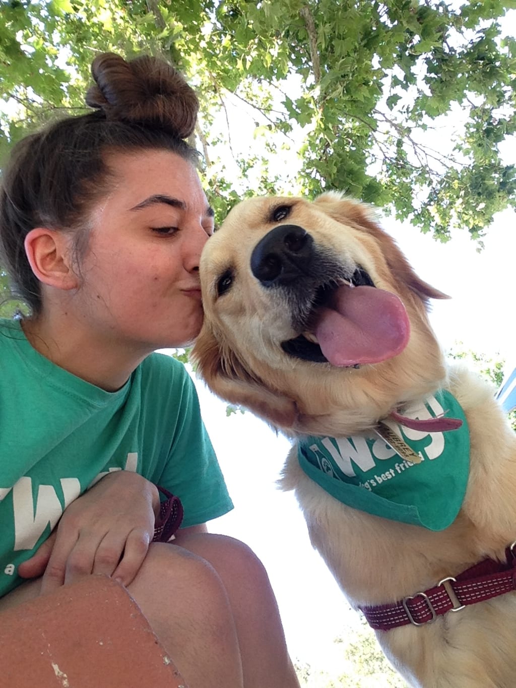 I Was a Dog-Walker for Three Months - This is What Happened I Was a Dog-Walker for Three Months - This is What Happened