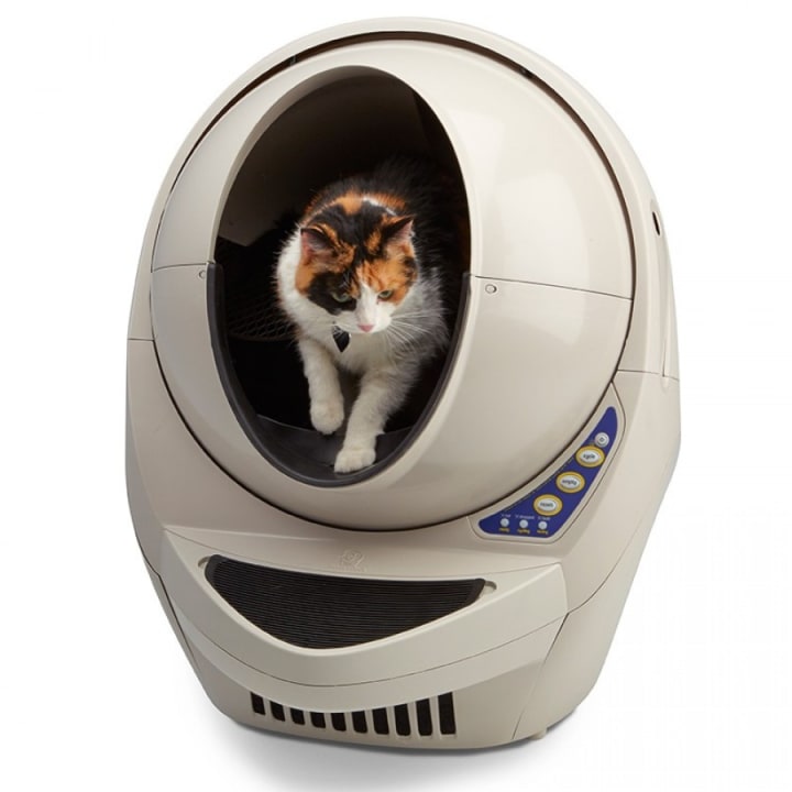 Best Self Cleaning Litter Boxes For The Cat Lover