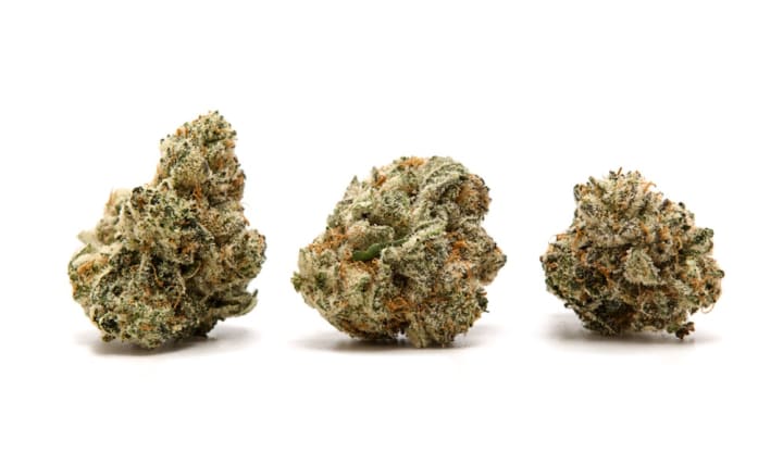 Best Weed Strains You Can Buy in 2018 | Potent