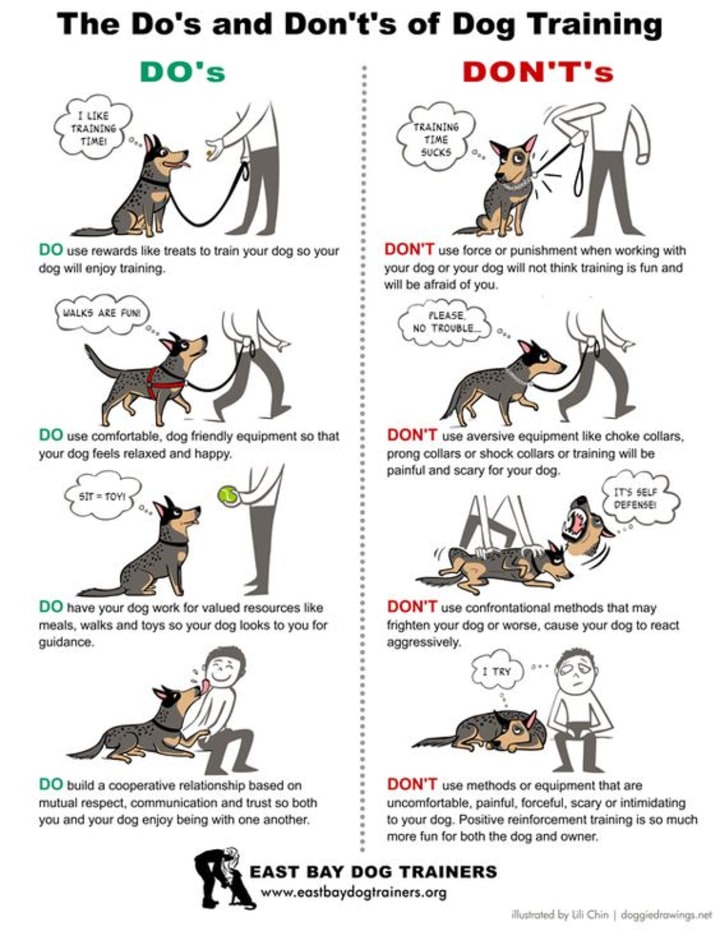 5 Basic Commands Every Dog Needs To Know 5 Basic Commands Every Dog Needs To Know