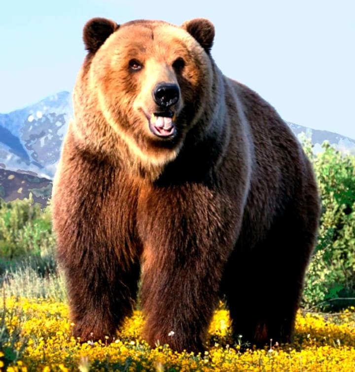 10 Animals That Went Extinct Due to Hunting Petlife