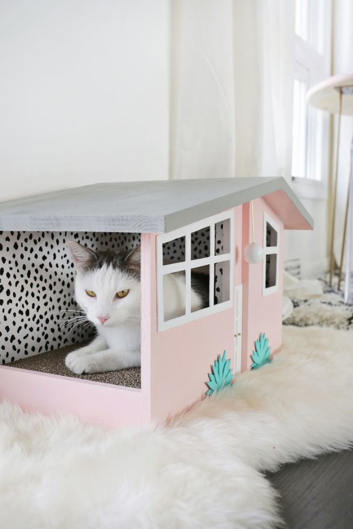 diy cat box house