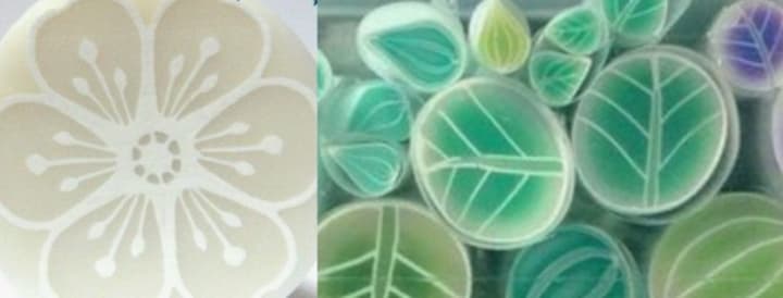 translucent polymer clay harder than clay