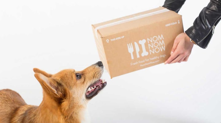 10 Dog Food Delivery Services You Must Try