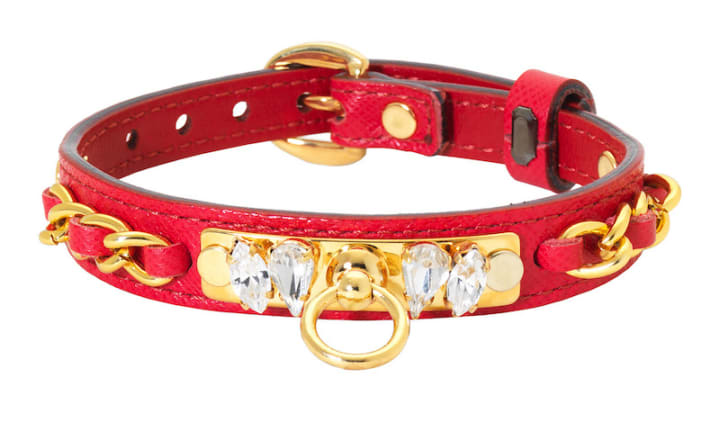 expensive dog collars and leashes