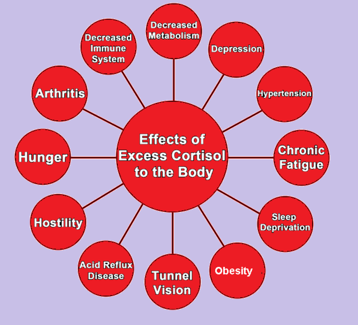 Chronic Stress Cortisol And Oxytocin Longevity   Sh5sm4zhj0hzdroepigf 