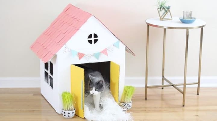 cat house out of boxes