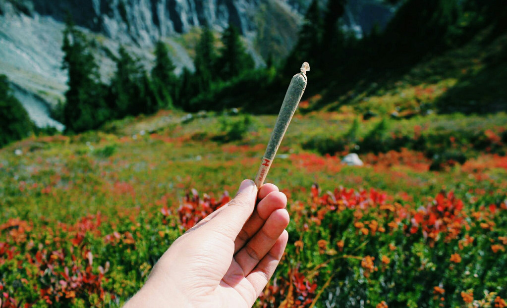 Healthiest Way to Consume Marijuana