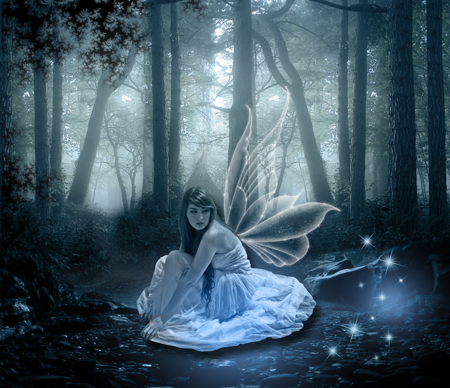 fairies in the night