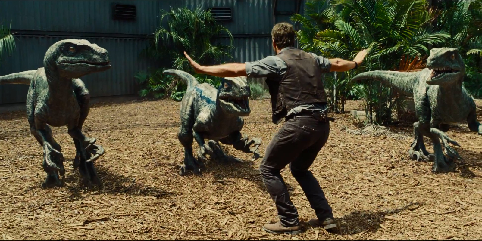 Colin Trevorrow on 'Jurassic World's monster star Indominus Rex