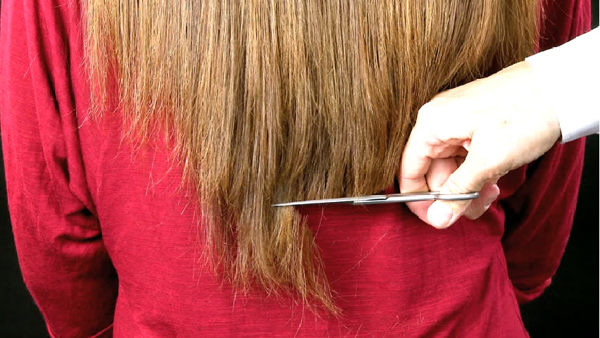 Fact or Fiction: Chopping Off Your Split Ends | Blush
