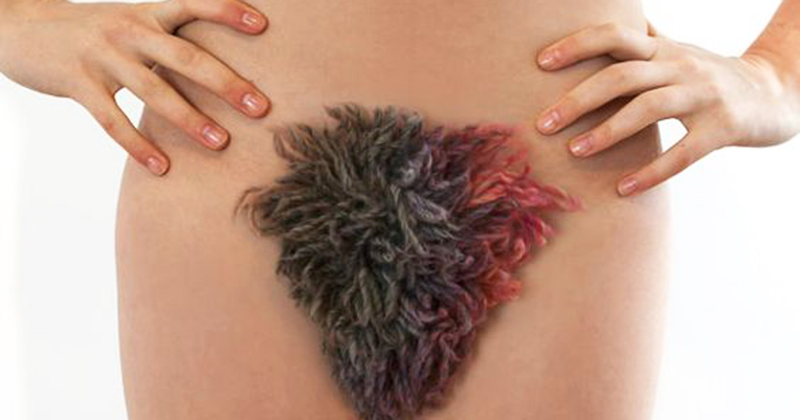 Pubic Hair: In or Out? | Filthy Pubic Hair: In or Out? | Filthy