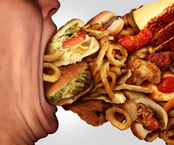 Food Over Load Te Veel Junkfood