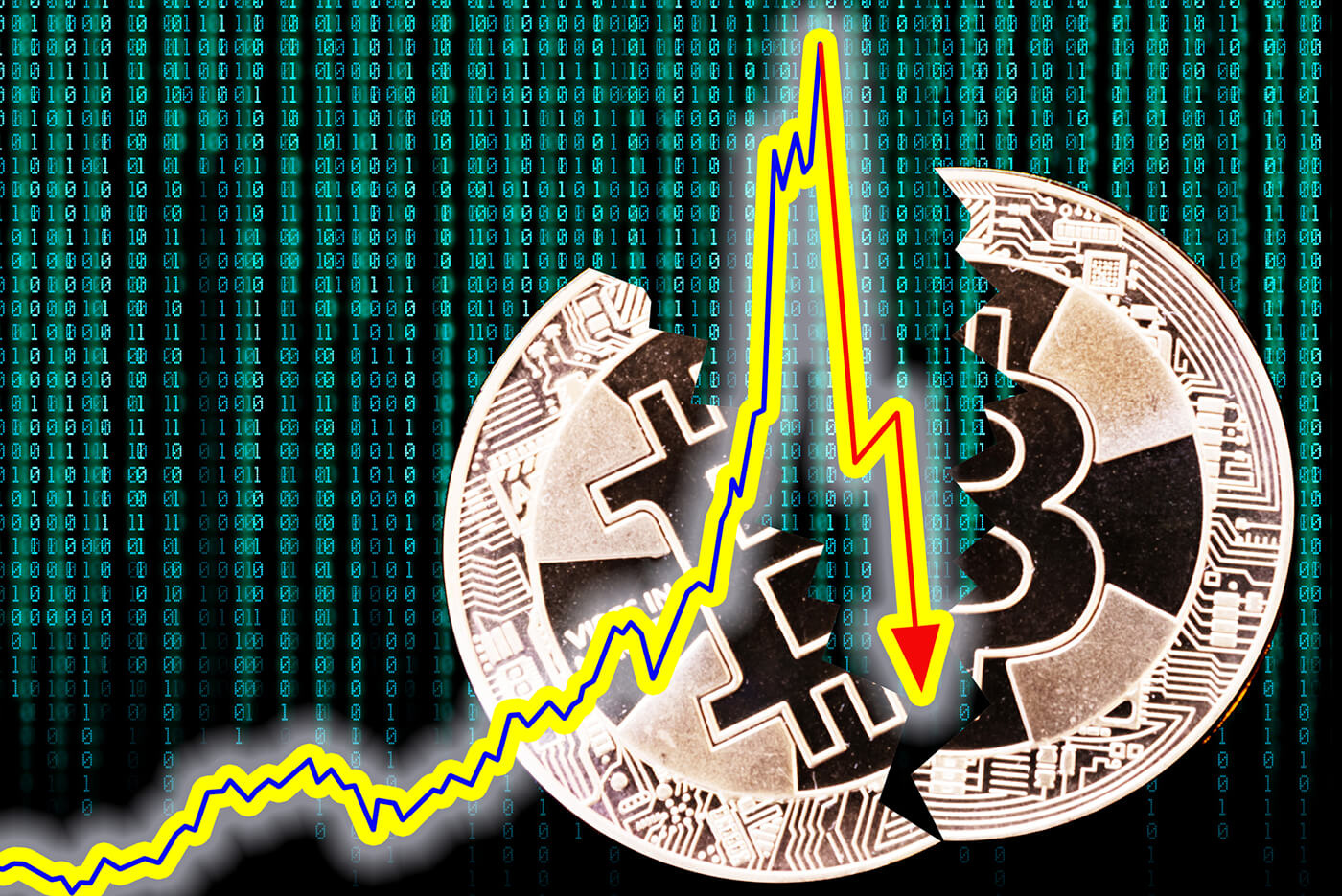 Top Courses for Bitcoin Miners and Investors on Udemy | The Chain