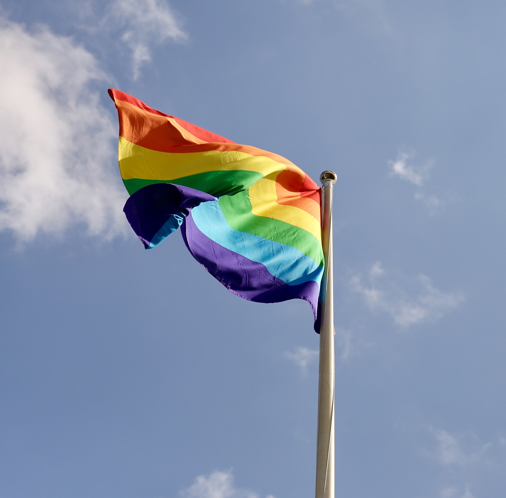 What Is Pride Humans