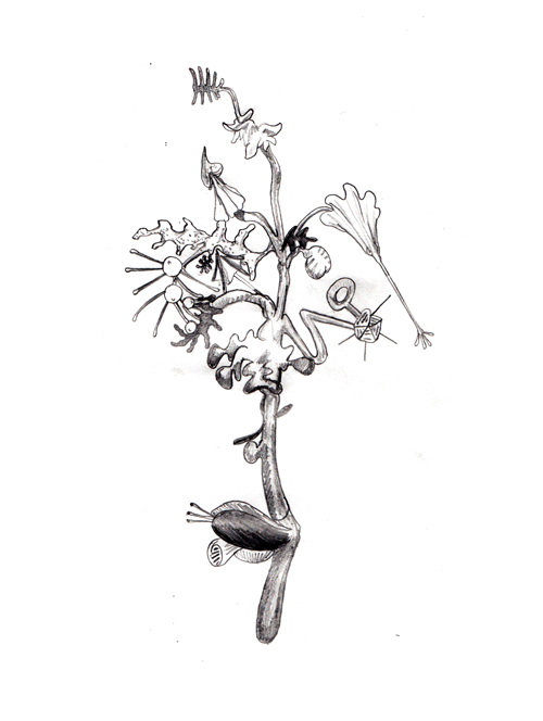 Black And White Flower Gif Tumblr