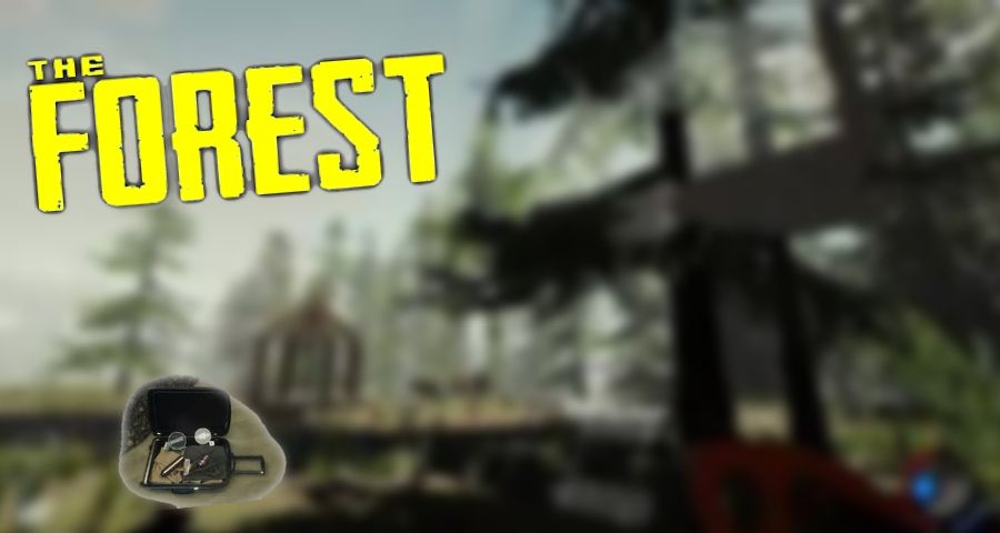 10 Unusual Gameplay Tips For The Forest Gamers