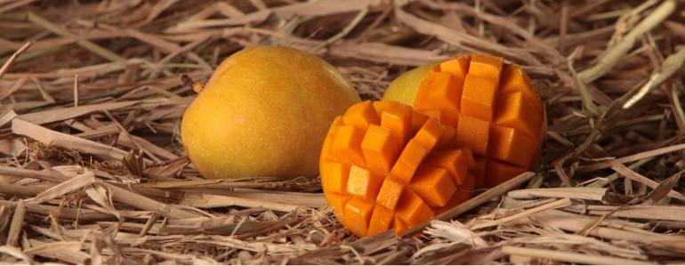 How to Pick a Ripe Mango (Visual Guide + Tips!) - Connoisseurus Veg