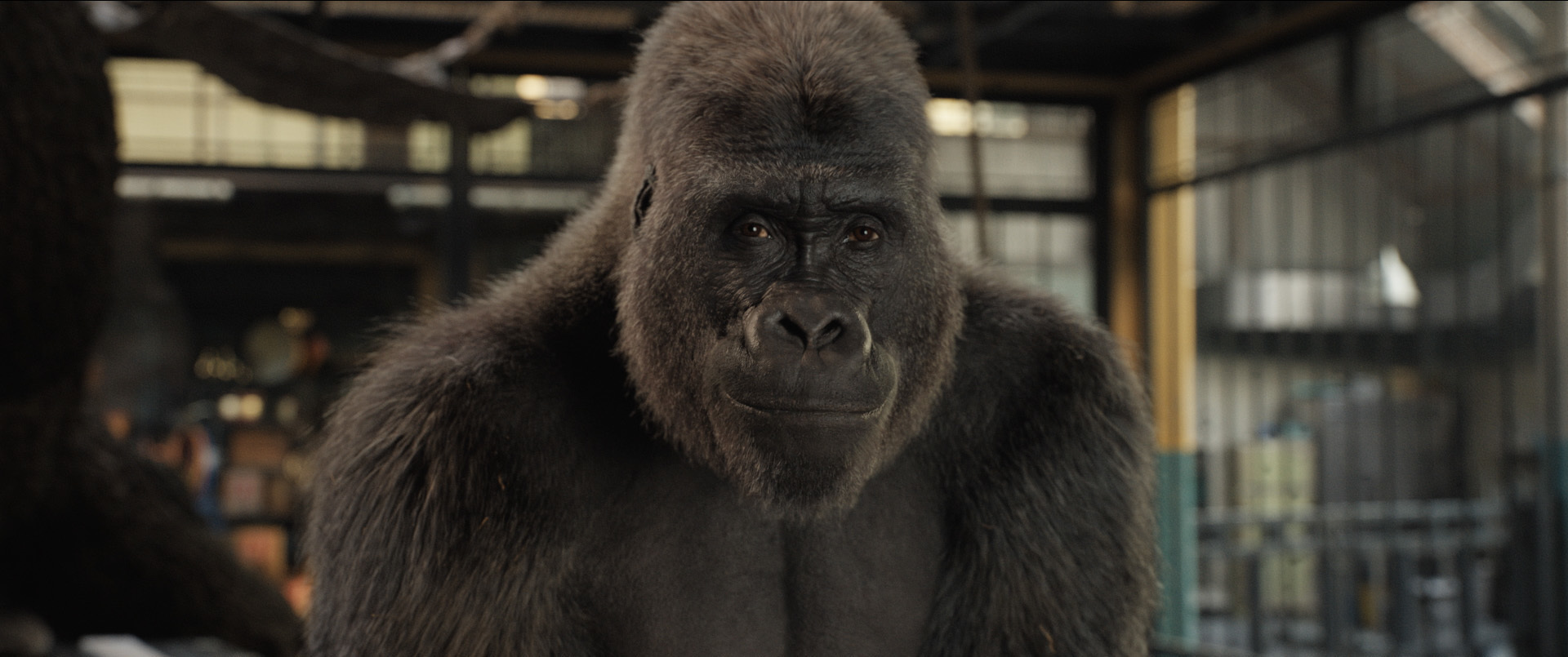Movie Review: 'The One and Only Ivan' is the Good Kind of Cheesy | Geeks