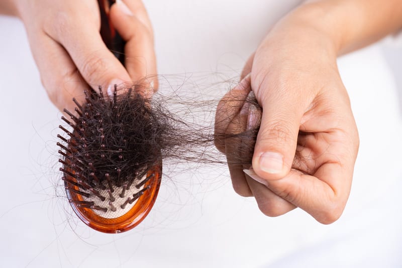 Foods that will help in your Hair Growth | Feast