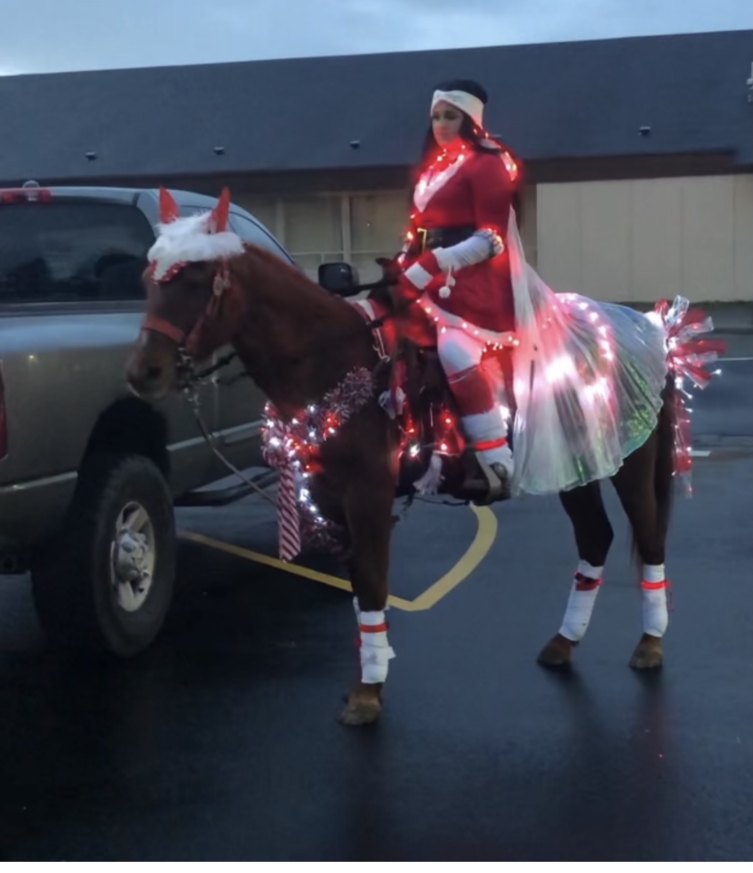 Horse sales christmas costume