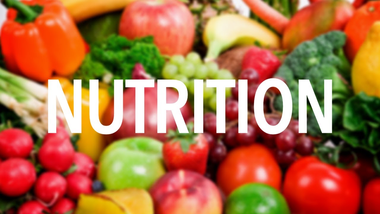 Nutrition: What Is It and Why Is It Important