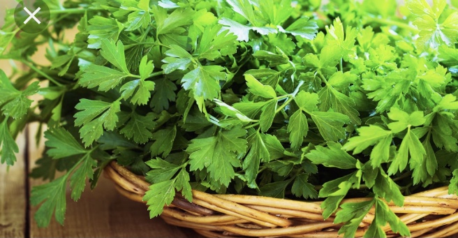 Parsley Is A Super Food You Need Longevity