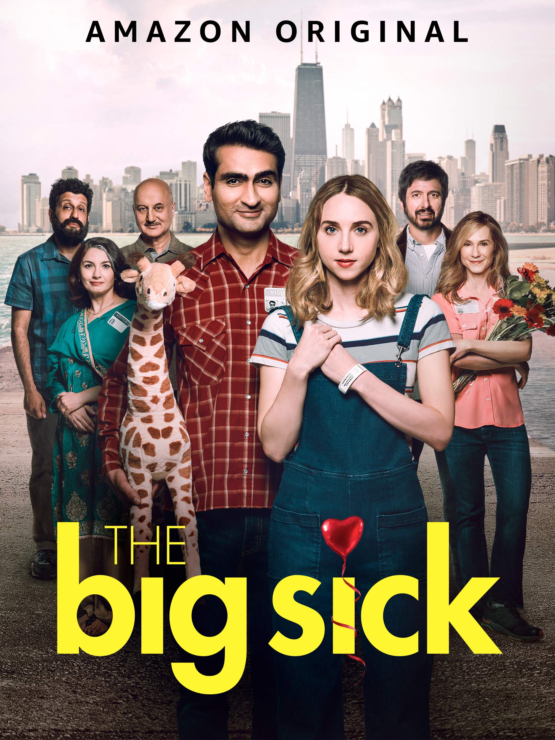 The Big Sick 2017 Review Geeks