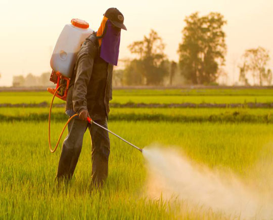 agro chemicals and their effects