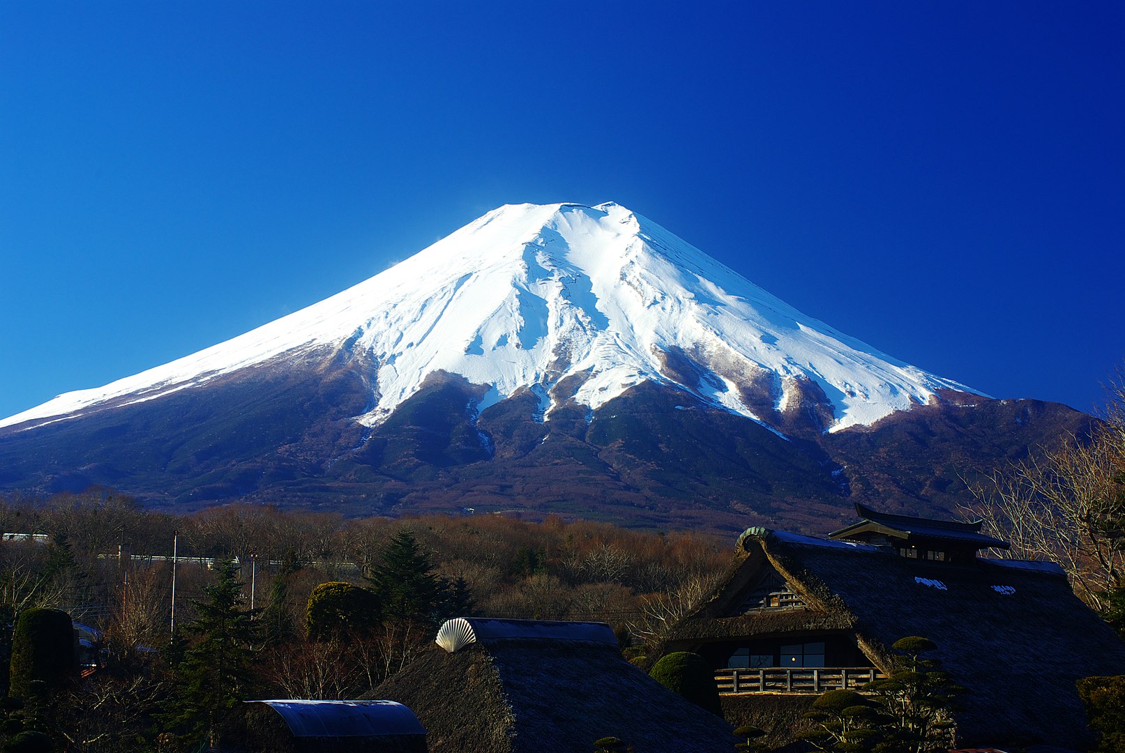 My Son and I Climbed Japan's Mount Fuji Together | Wander