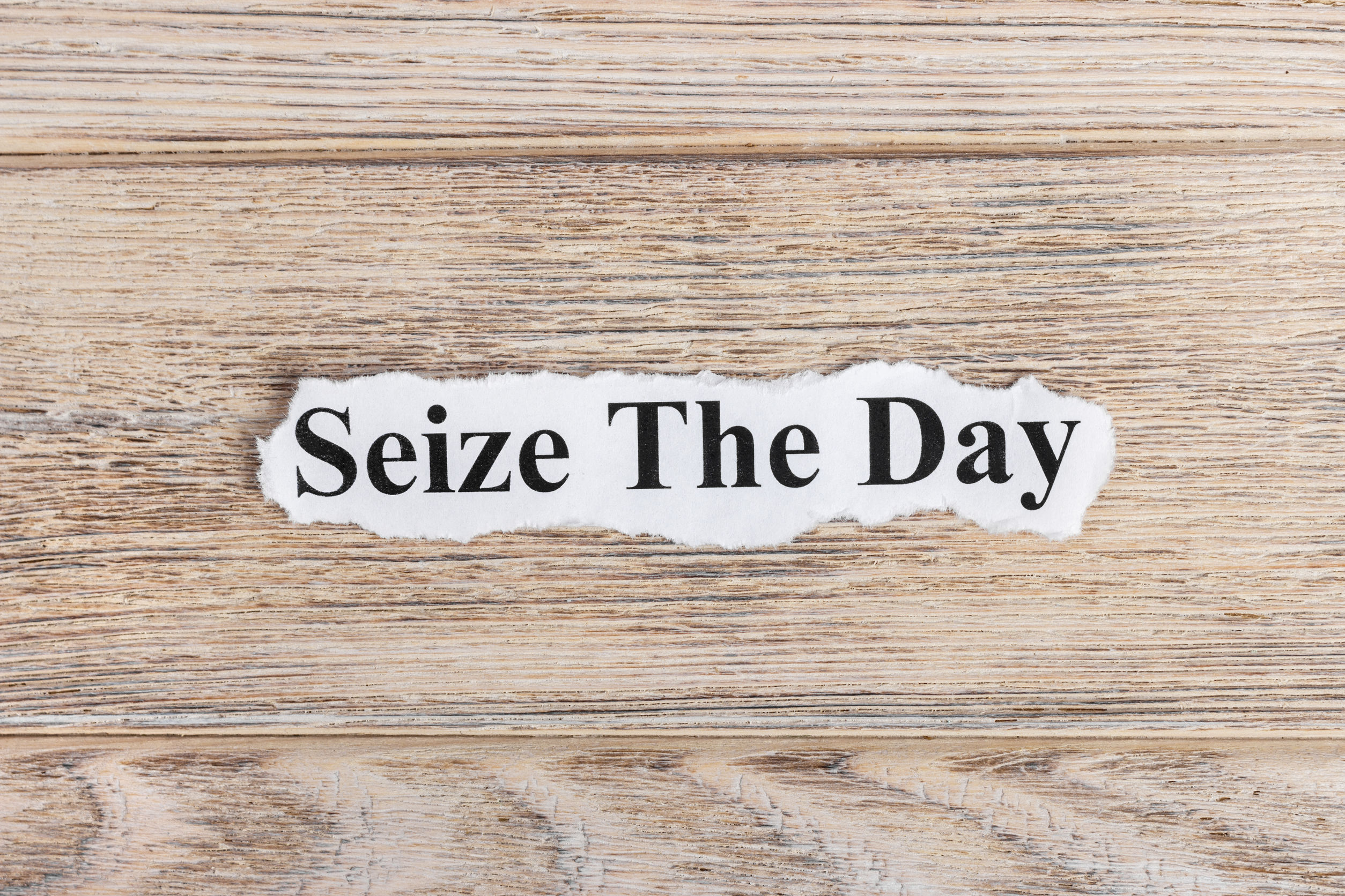 The Real Meaning Of Seize The Day Motivation