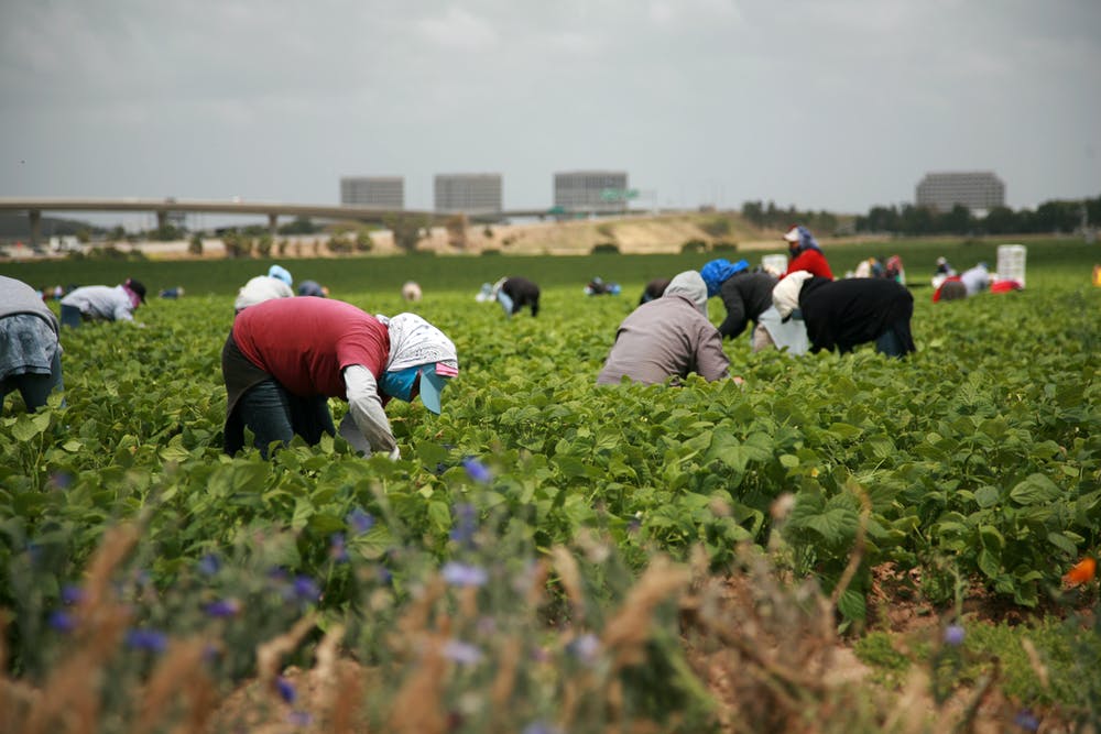 Ending Recruitment Abuse in the Migrant Labor Industry | Journal