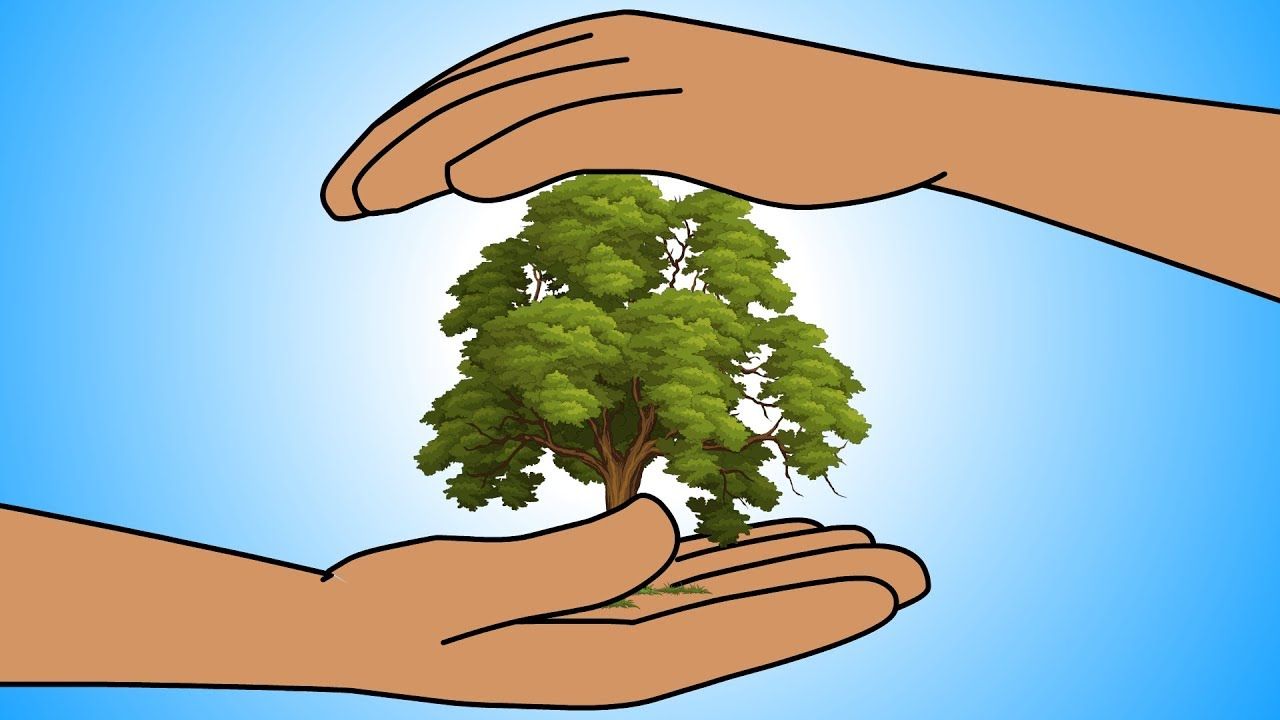 Save Trees Save Life for Students and Children | Earth