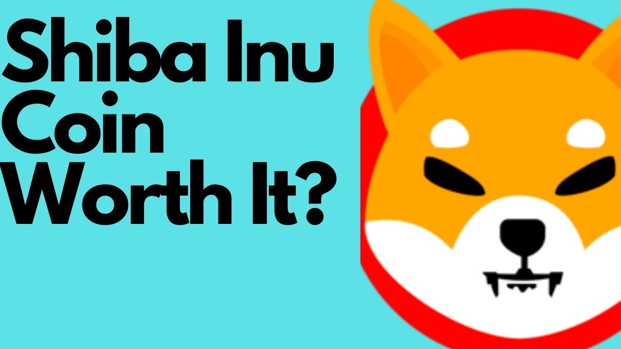 Is Wink Coin a Good Investment? The 2025 Prediction For Wink Coin | The  Chain