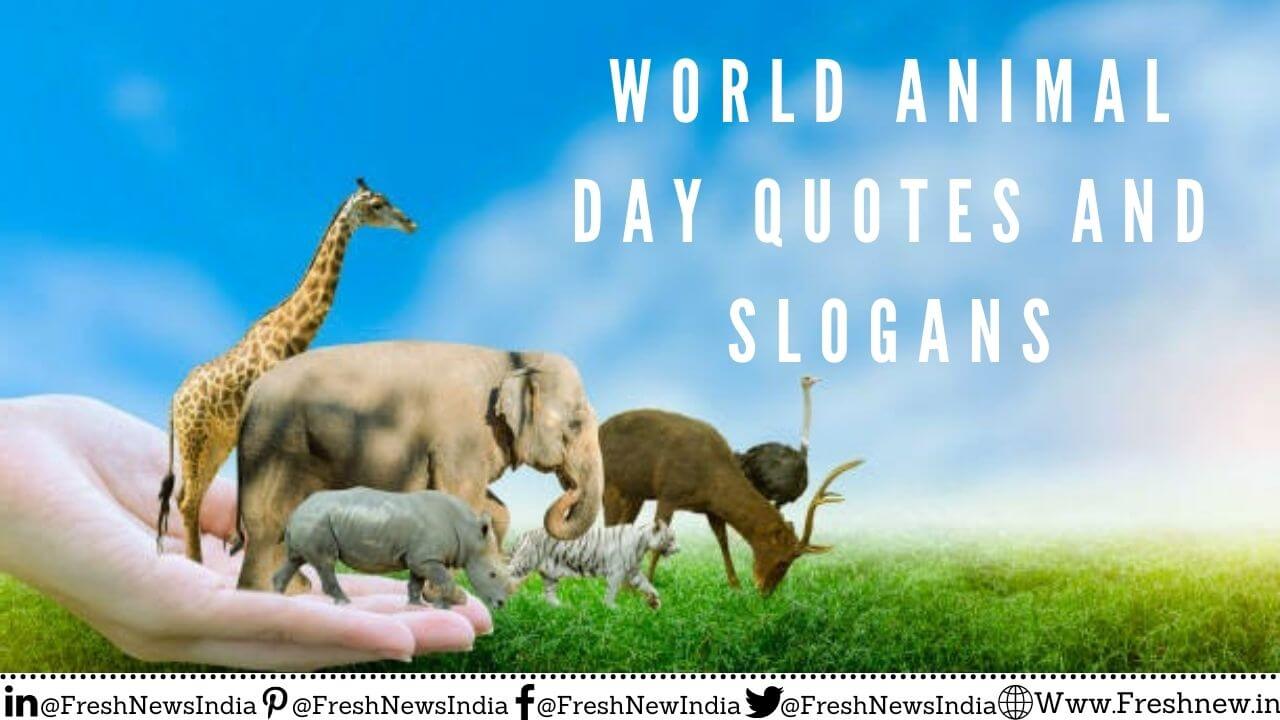 World Animal Day 2021: Save Wildlife For Future Survival | Earth World Animal Day 2021: Save Wildlife For Future Survival | Earth