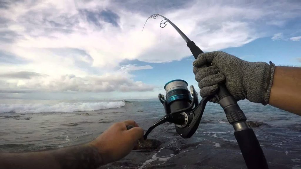 13 fishing origin nx baitcasting combo 13 Fishing Origin NX Baitcasting Combo  Dakota Angler