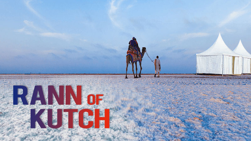 Gujarat vacation and the Rann of Kutch, India