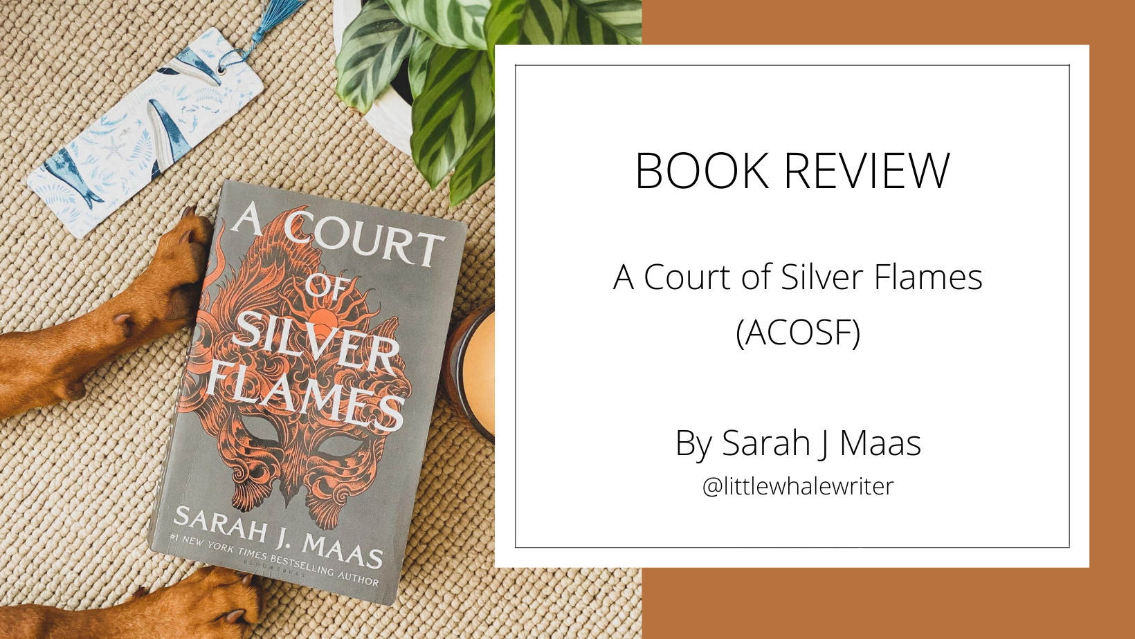 BOOK REVIEW A Court of Silver Flames😁 Descubra novas oportunidades em