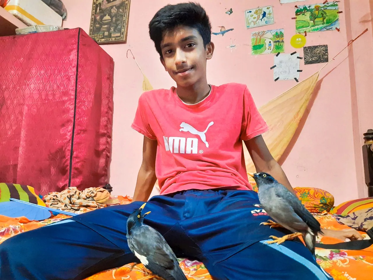 Mina & Mithu(Jungle Myna) | My Pet- My First Love, Best Companion, Friendly Pet | Petlife Mina & Mithu(Jungle Myna) | My Pet- My First Love, Best Companion, Friendly Pet | Petlife
