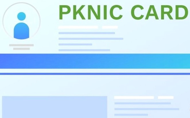 ApkNic