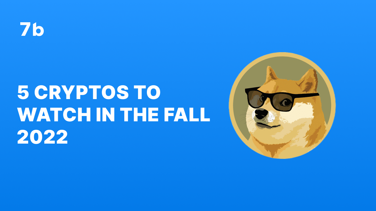 5 Cryptocurrencies to Watch in the Fall of 2022 | Trader