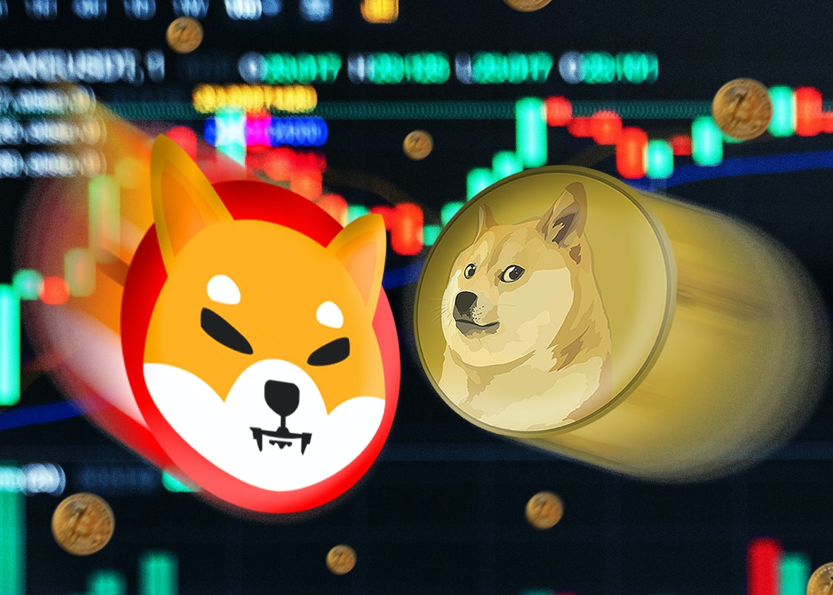 Funny, Silly, and Weirdest Cryptos. Top Meme Coins that Will Explode |  Trader